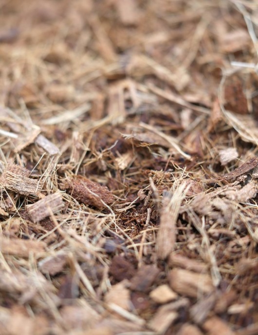 Fibre et mulch de coco
