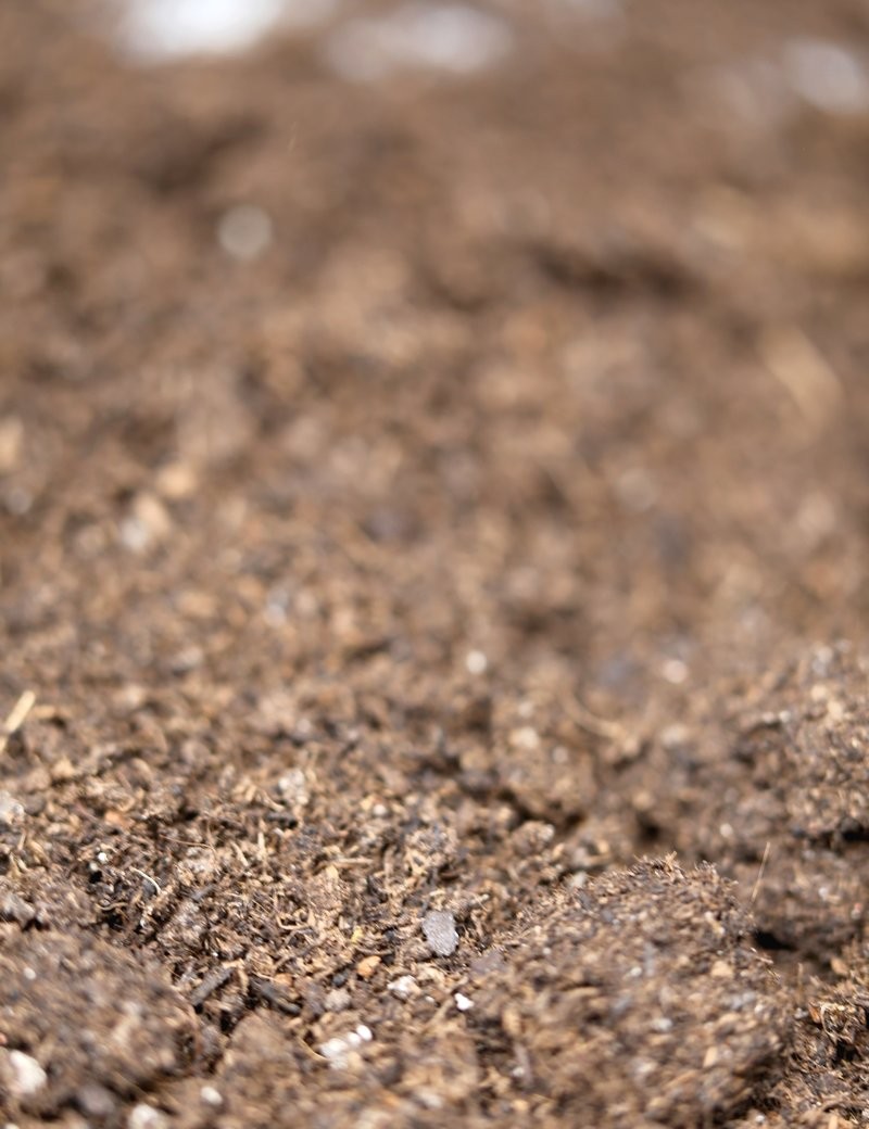 Terreau horticole