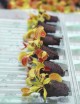 Dionaea muscipula - Mini-mottes Plante carnivore