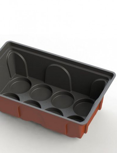 Mini serre semis Plante carnivore