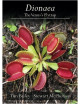 Dionaea: The Venus's Flytrap
