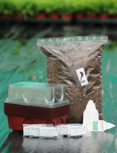 Grand Kit semis plantes carnivores - Multiples serres Plante carnivore