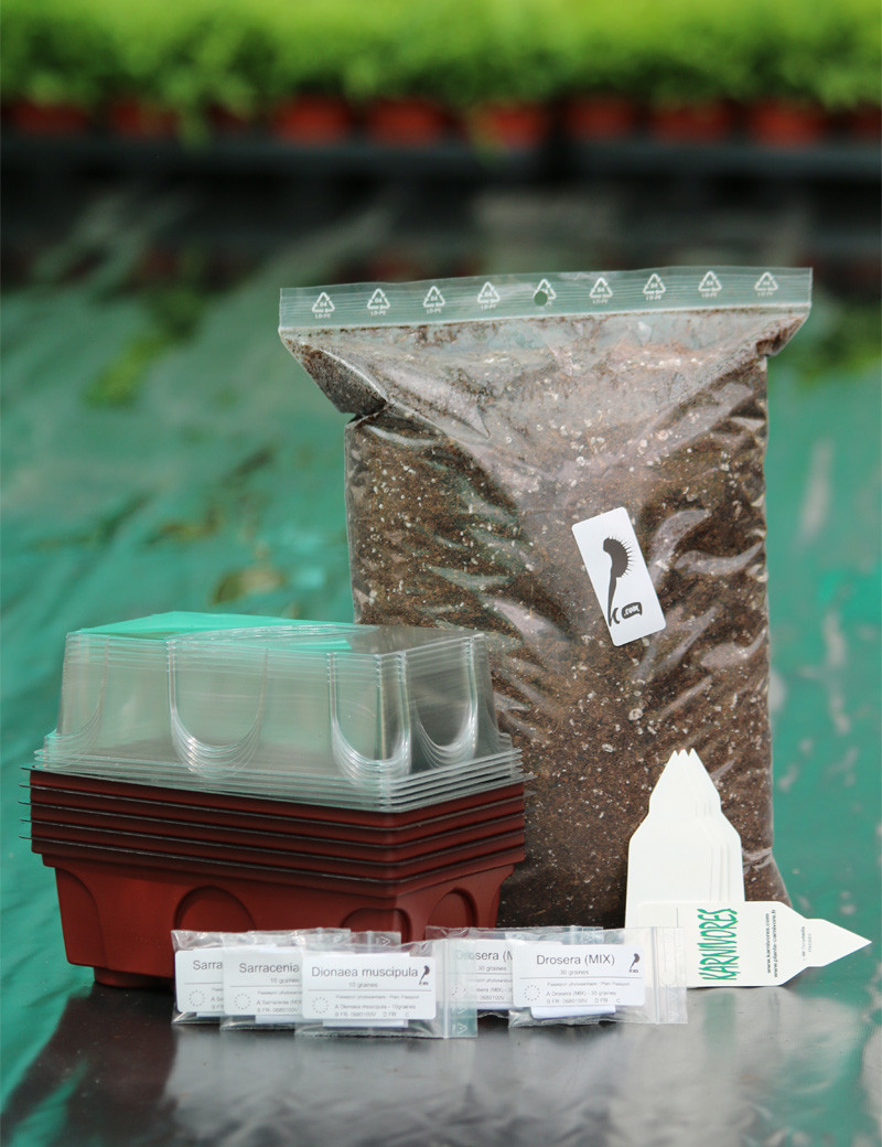 Grand Kit semis plantes carnivores - Multiples serres Plante carnivore