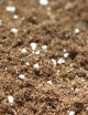 Terreau plantes carnivores - Optimisé -