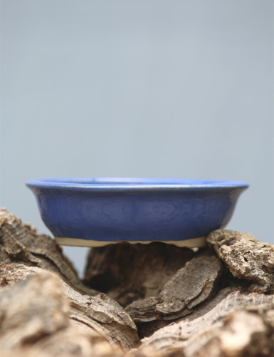 Pot de présentation de tillandsia broméliacées