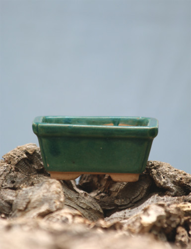 Pot en terre cuite rectangulaire de taille m pour tillandsia et broméliacées