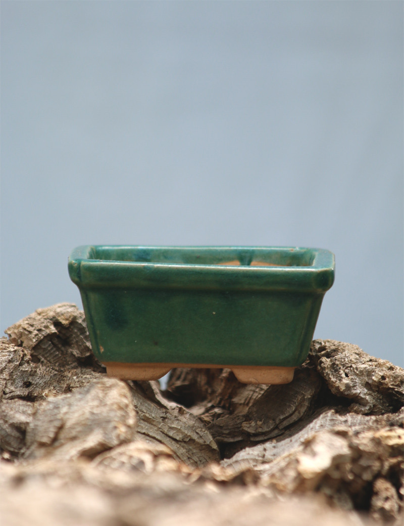 Pot en terre cuite rectangulaire de taille m pour tillandsia et broméliacées