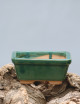 Pot en terre cuite rectangulaire de taille m pour tillandsia et broméliacées