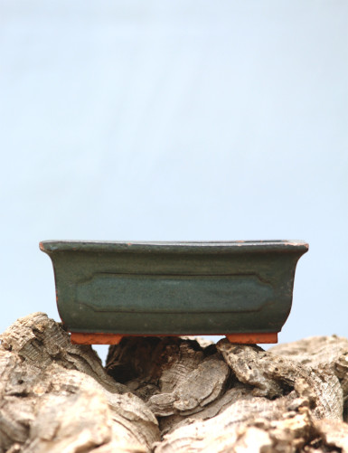 Pot en terre cuite émaillé pour présenter des Tillandsia