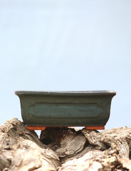 Pot en terre cuite émaillé pour présenter des Tillandsia