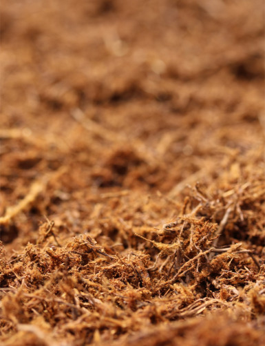 Fibres et poudre de Xaxim pour terrarium