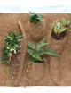 Plaque coco 50X50X1cm à planter | Terrarium