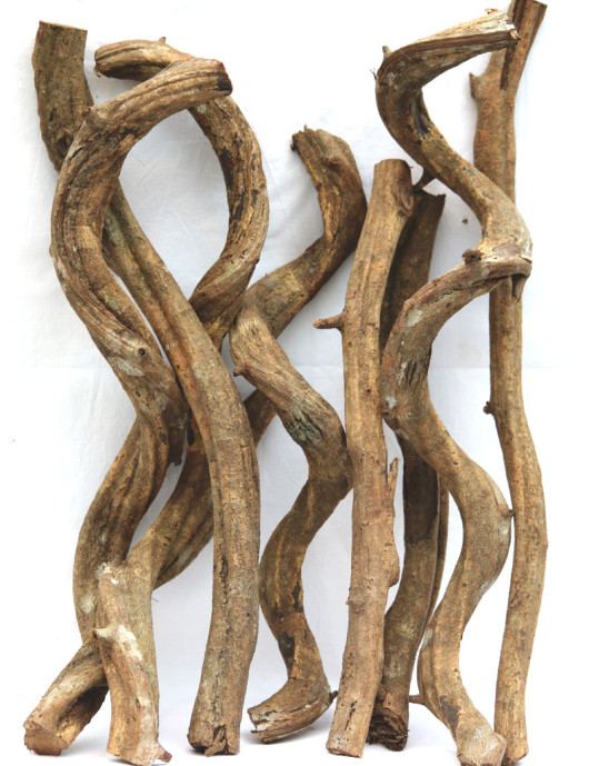 Liane 100% naturelle 20-30cm