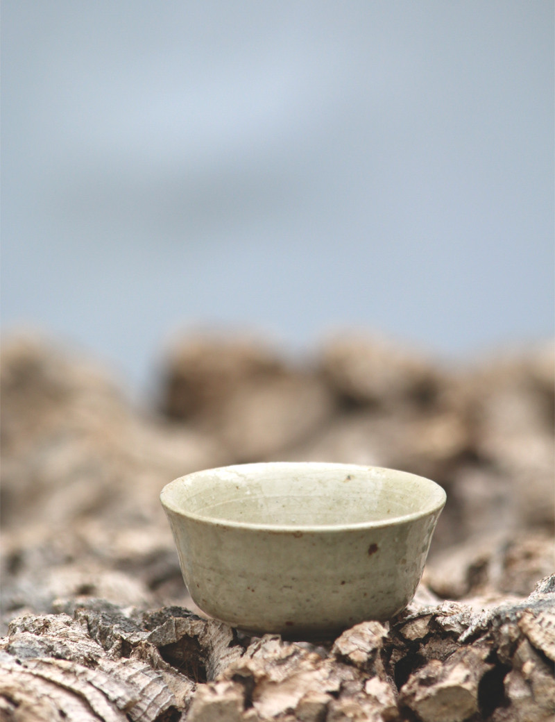 "Roofs" terra cuite émaillé pot