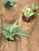 Pack plaque coco & plantes - 50X50X1cm