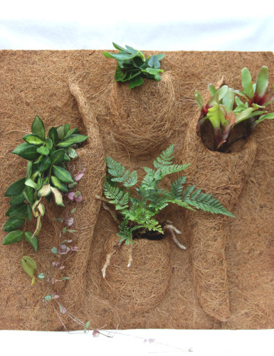 Pack plaque coco & plantes - 50X50X1cm