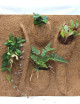 Pack plaque coco & plantes - 50X50X1cm