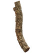 Cork oak branch - 30 to 40cm