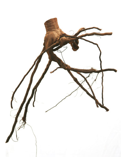 Vine root - 35/45cm