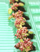 Cephalotus follicularis - Mini-mottes X6