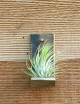 Soporte de terracota para tillandsia
