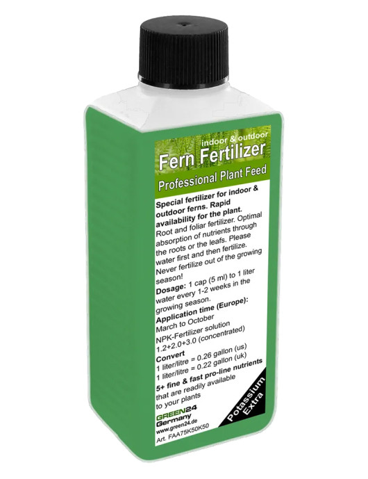 fertilizante para helechos