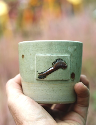 Matériel terrarium Tasse "Karnivores"