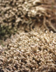 Natural dry mosses