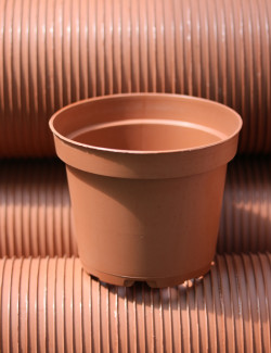 Pots rond 11,5 cm