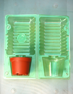 Lot coque d'expédition plante en pot ø9x7cm - rond étroit