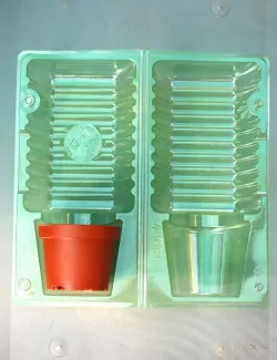 Lot coque d'expédition plante en pot ø9x7cm - rond large
