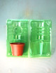 Lot coque d'expédition plantes en pot ø70x53mm