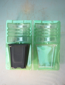 Lot coque d'expédition plante en pot ø7x7x8cm