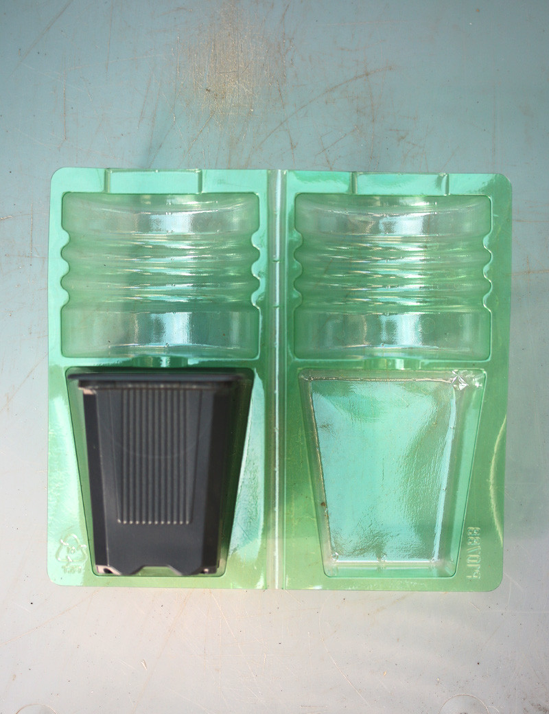 Lot coque d'expédition plante en pot ø7x7x8cm