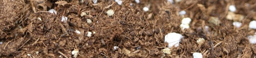 Equipment & Substrates for Carnivorous Plants and Terrariums | Carnivores