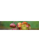 Graines de Sarracenia