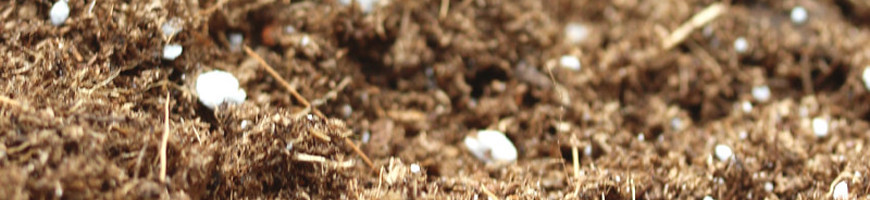 What substrate is suitable for carnivorous plants?